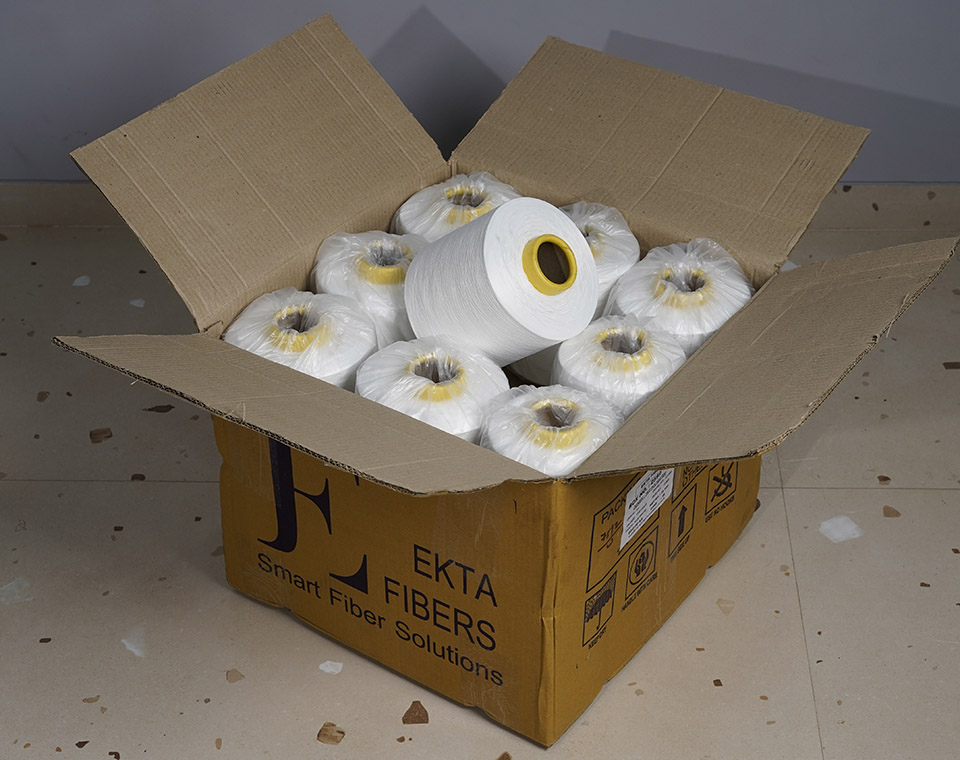 Ekta Fibers - Infrastructure